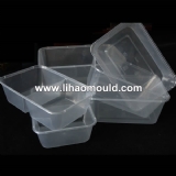 Disposable Tableware Mould 4