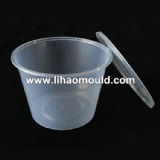 PP Thin-wall Mould 21