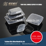 plastic injection lunch box mould