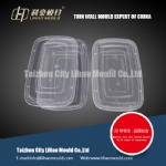 PP thin wall square container mould