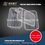 650ml 1000ml thin wall square container mould