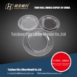 different size of thin wall plate mould