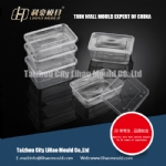 mirror polish thin wall square container mould