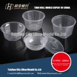 PP disposable round container mould expert china