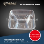 thin wall disposable lunch box mould